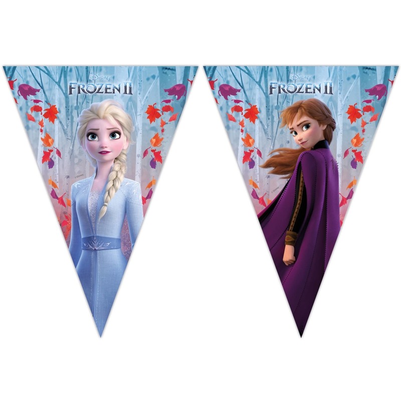 2x Kinderfeestje vlaggenlijnen van Disney Frozen 2 2 meter