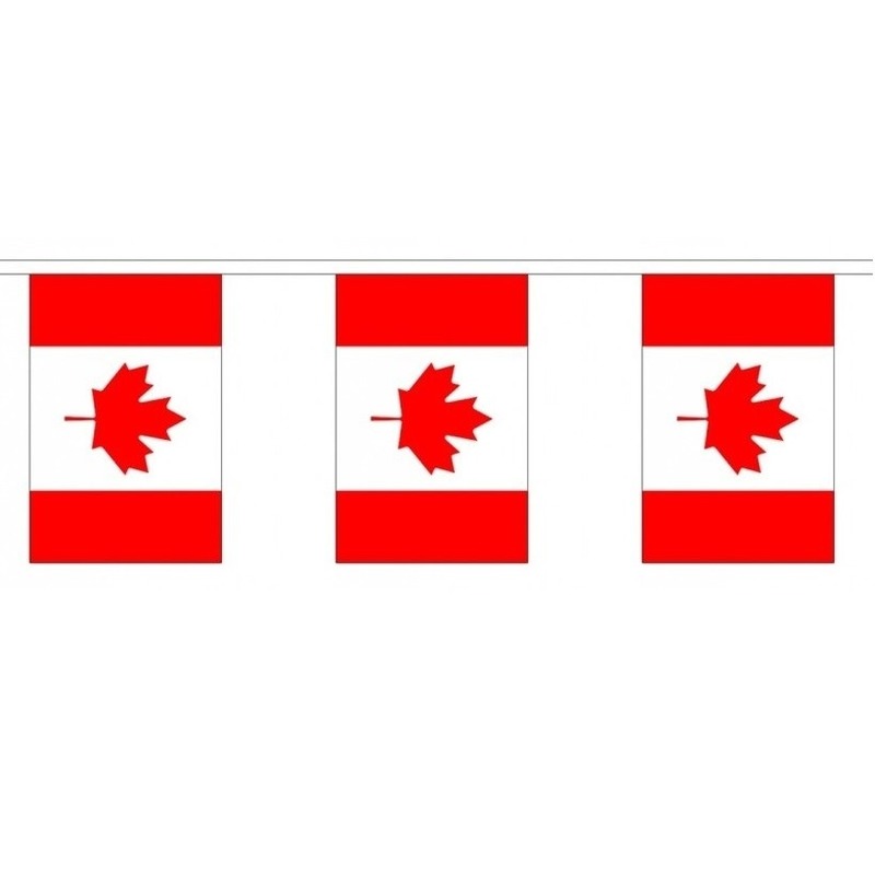 3x Buiten vlaggenlijn Canada 3 meter