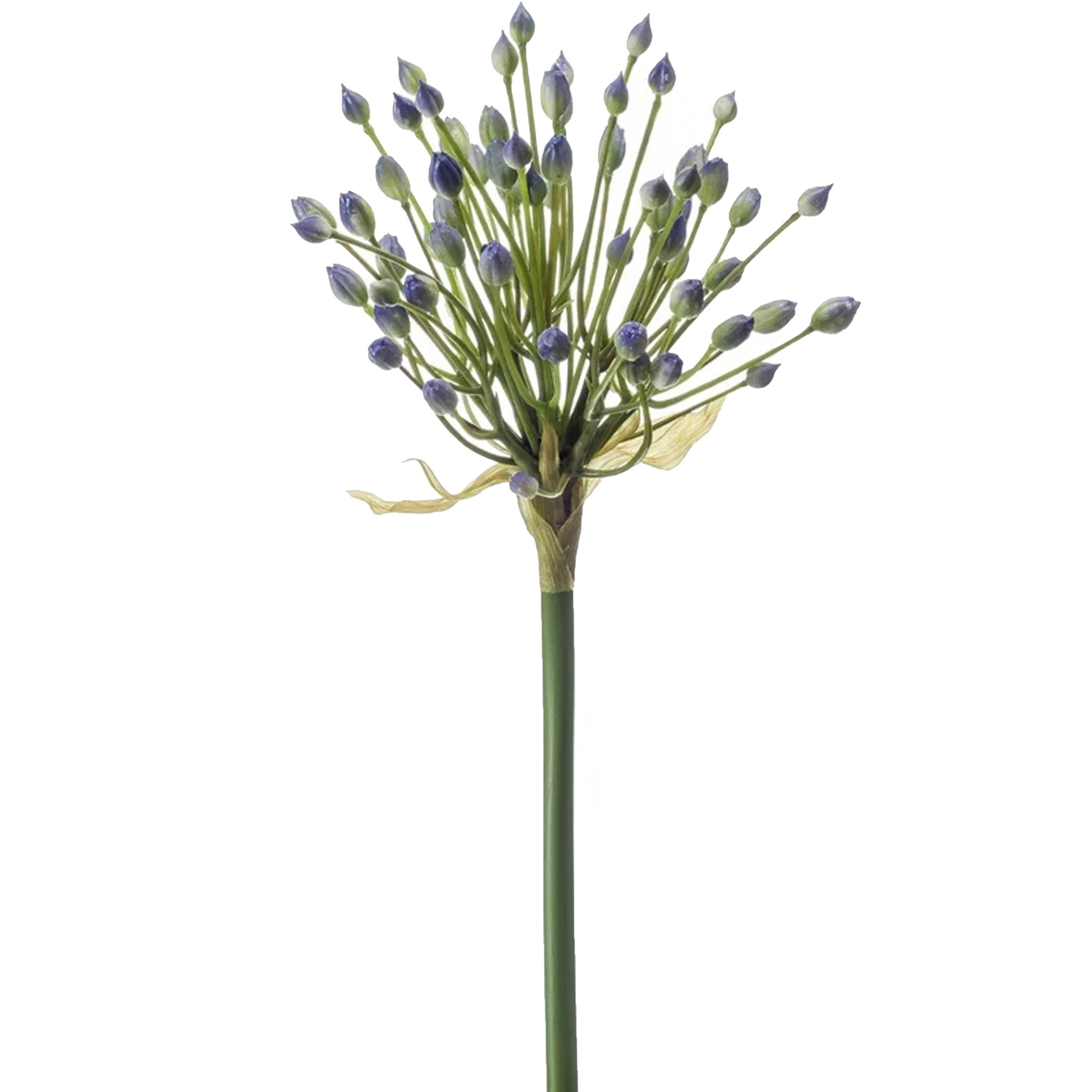 Allium-Sierui kunstbloem losse steel blauw 70 cm Natuurlijke uitstraling