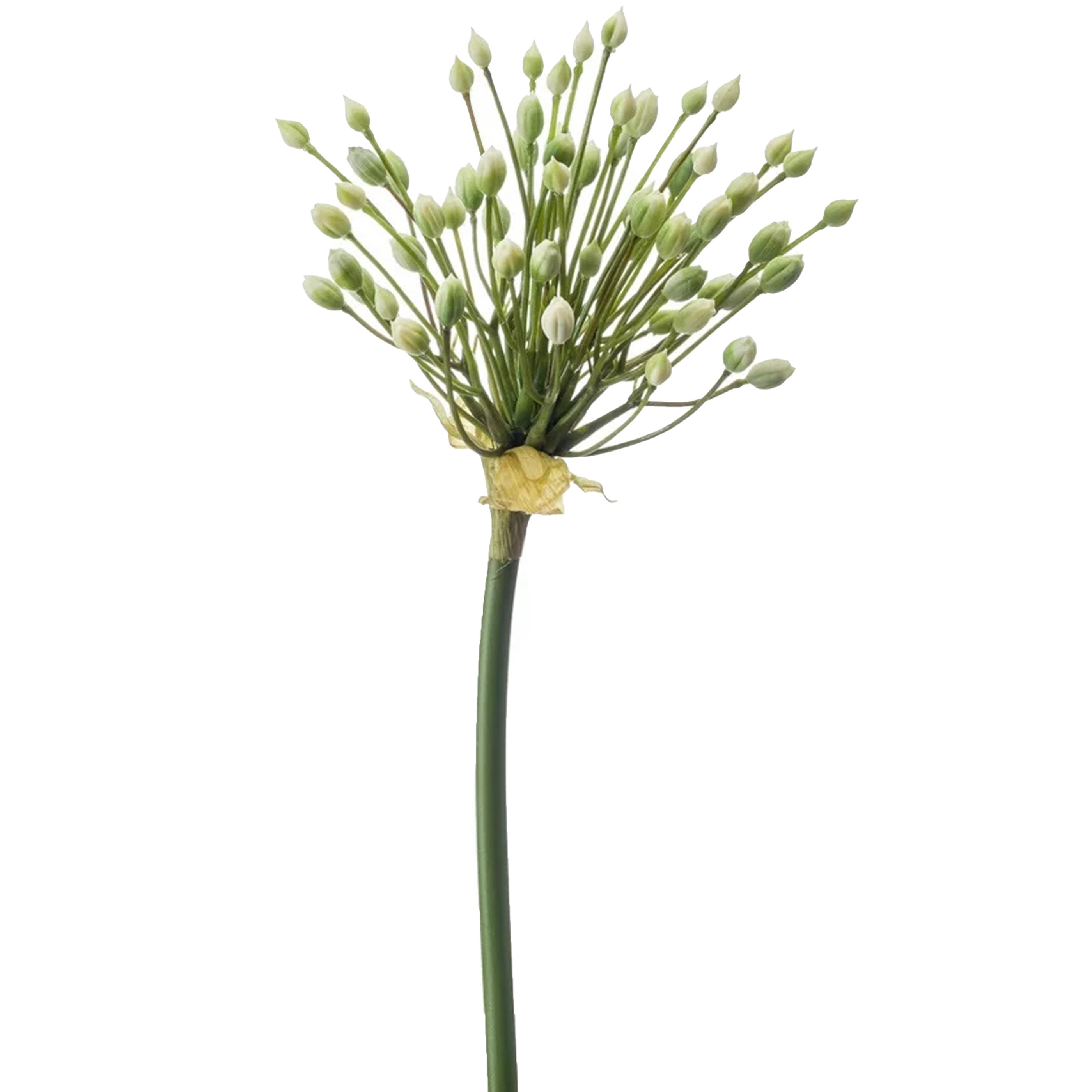 Allium-Sierui kunstbloem losse steel creme 70 cm Natuurlijke uitstraling