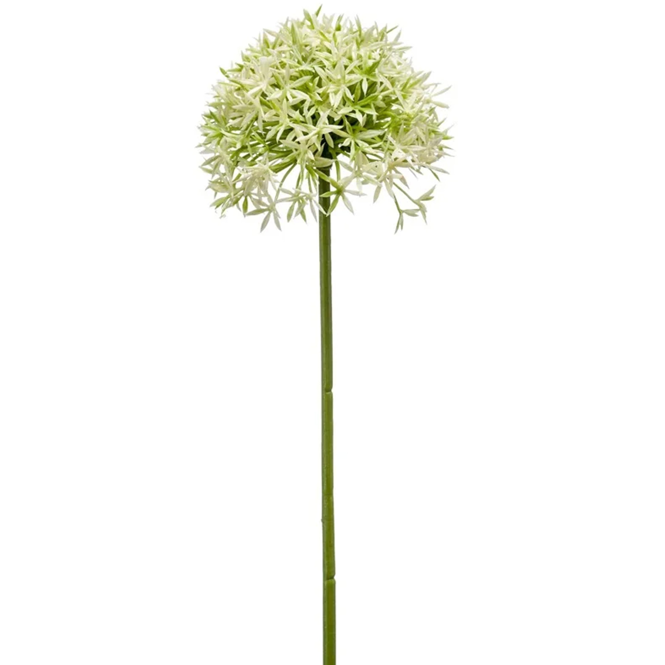 Allium-Sierui kunstbloem losse steel creme-groen 62 cm Natuurlijke uitstraling