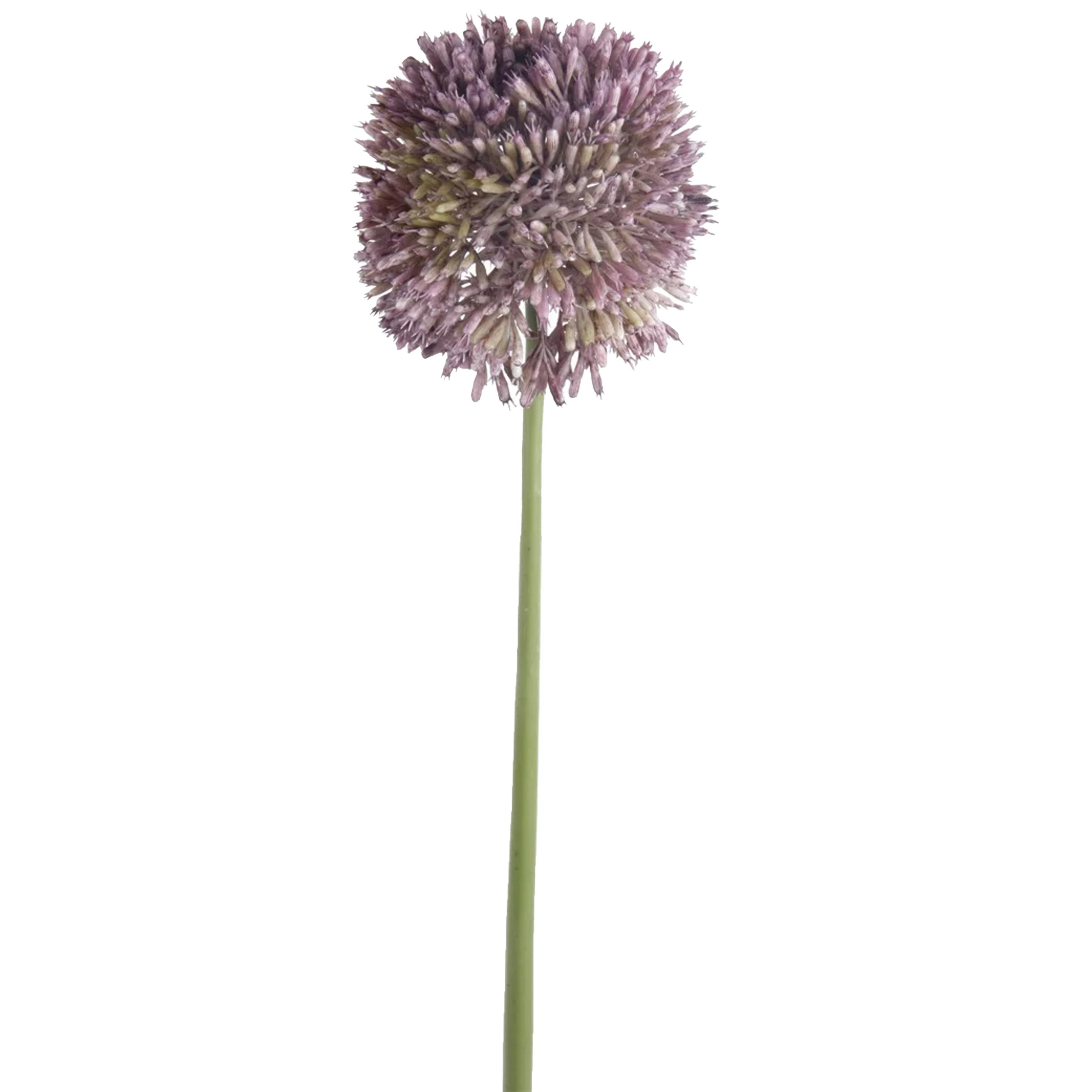 Allium-Sierui kunstbloem losse steel lila paars 65 cm Natuurlijke uitstraling