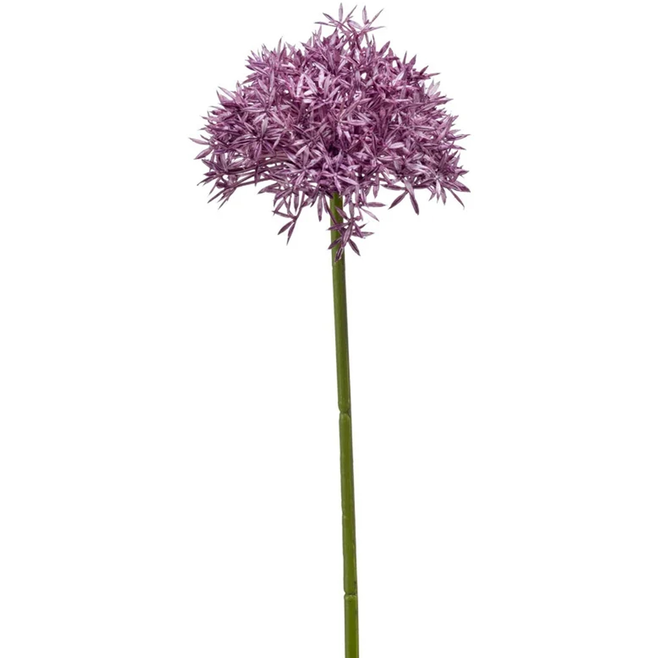 Allium-Sierui kunstbloem losse steel paars 62 cm Natuurlijke uitstraling