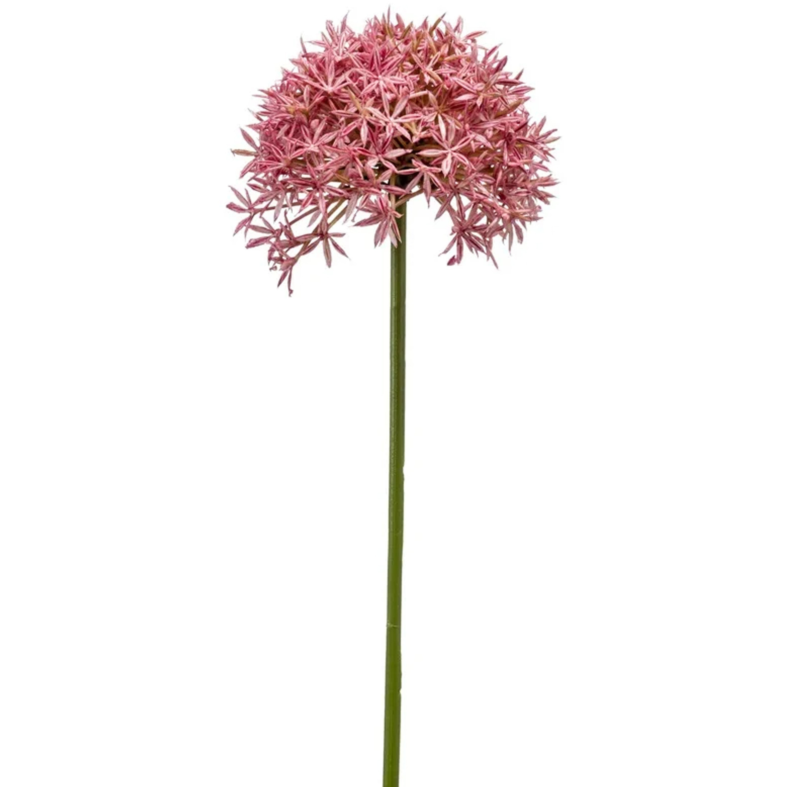 Allium-Sierui kunstbloem losse steel roze 62 cm Natuurlijke uitstraling
