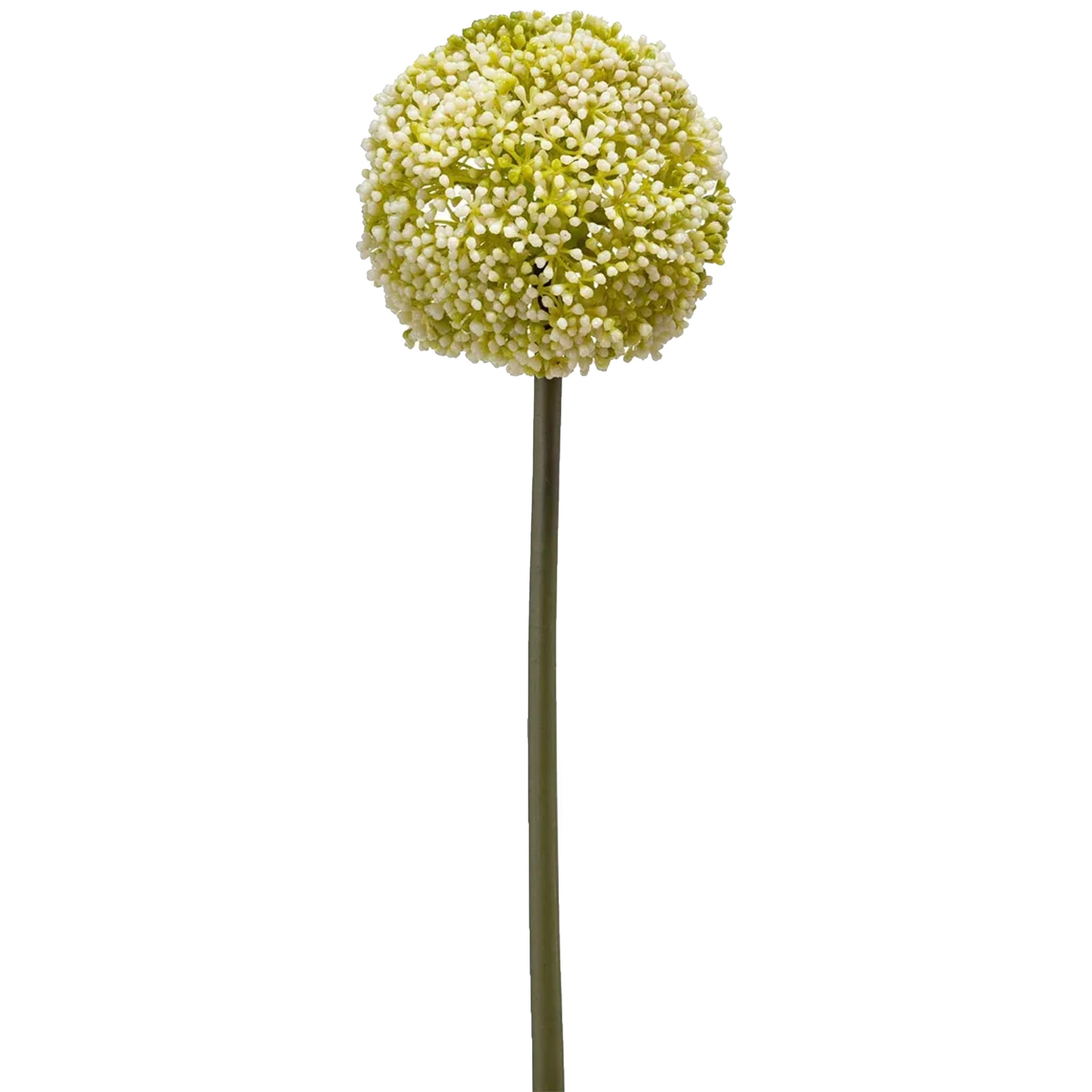 Allium-Sierui kunstbloem losse steel wit-groen 75 cm Natuurlijke uitstraling