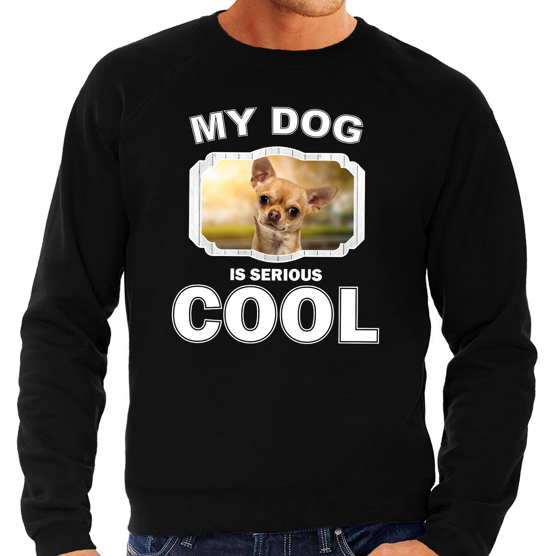 Chihuahua honden sweater / trui my dog is serious cool zwart voor heren