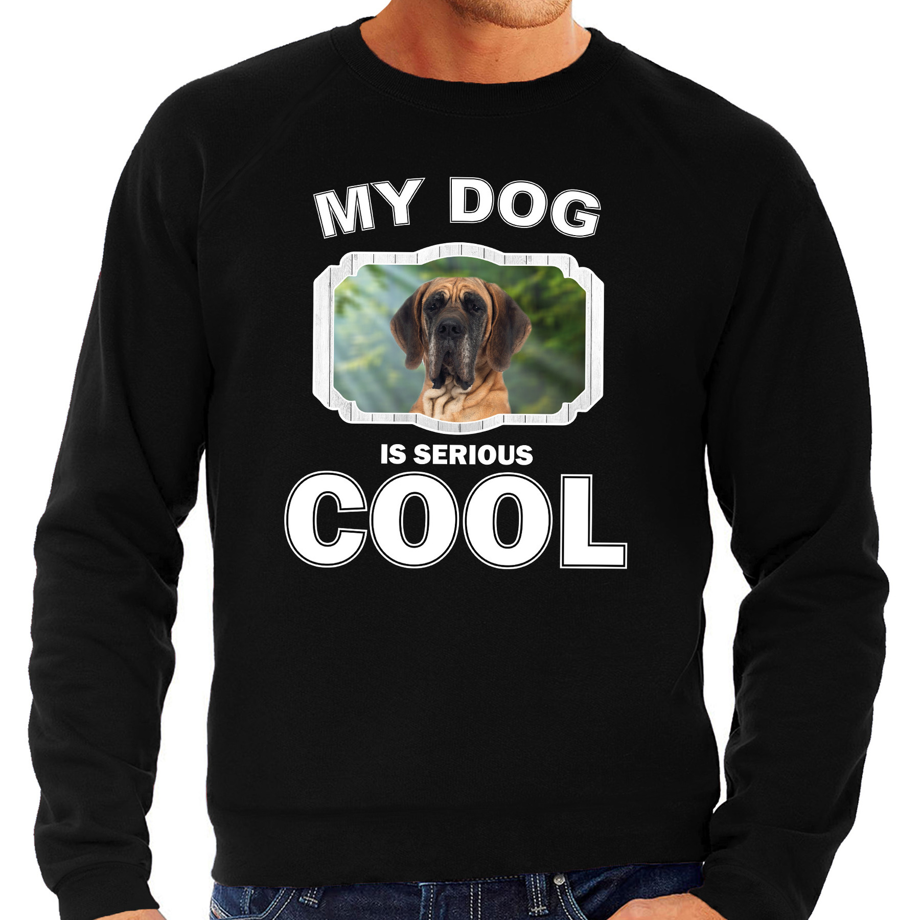 Deense dog honden sweater / trui my dog is serious cool zwart voor heren