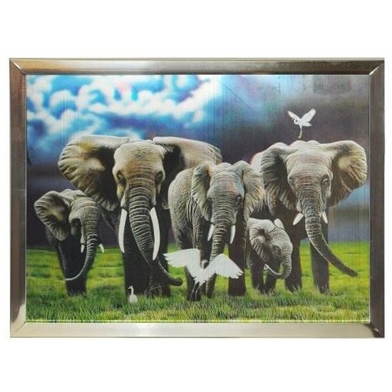 Dieren 3D poster in lijst olifanten