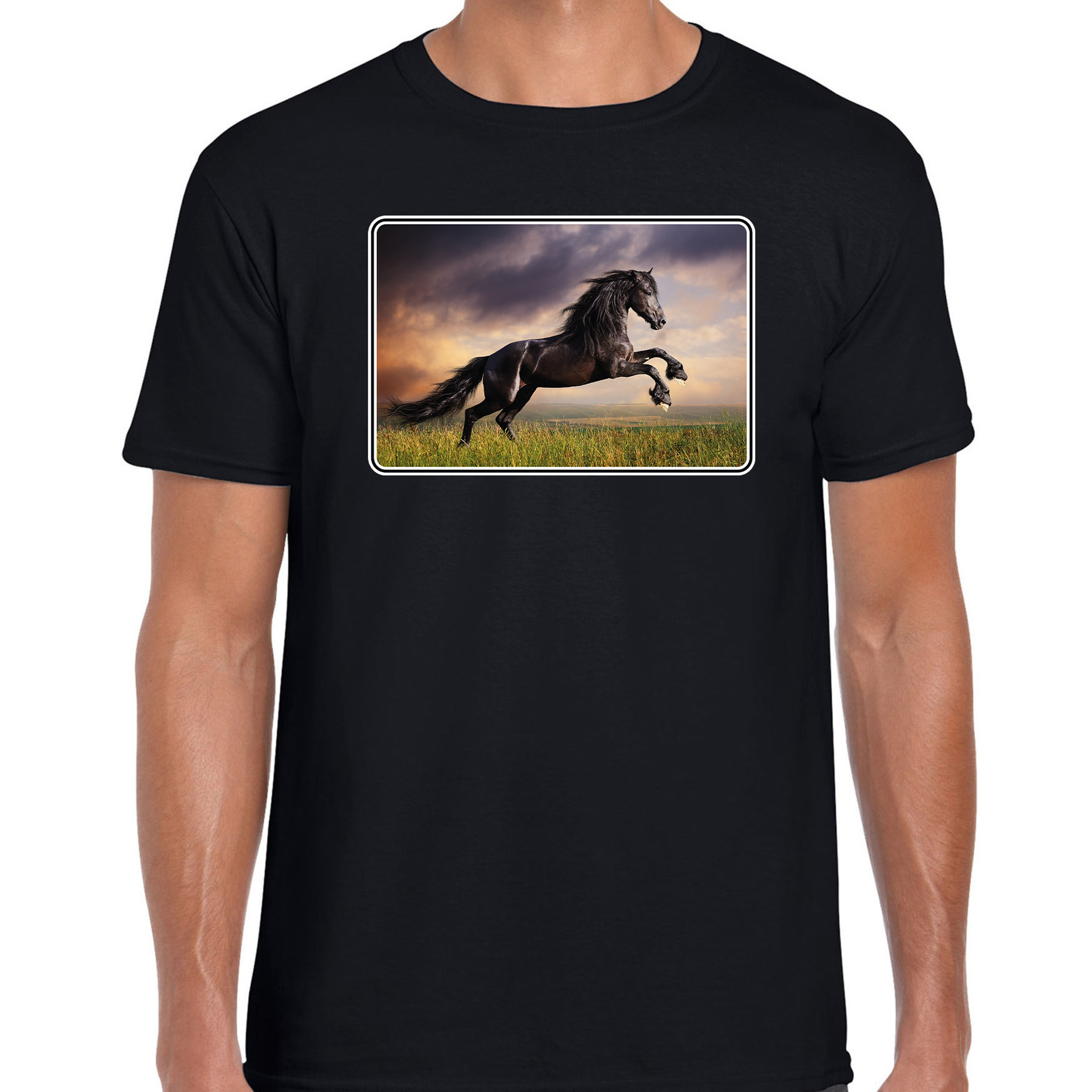 Dieren t-shirt met paarden foto zwart voor heren