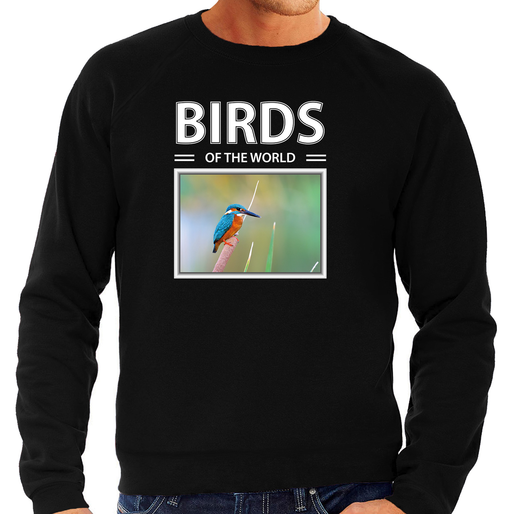 IJsvogels sweater / trui met dieren foto birds of the world zwart voor heren
