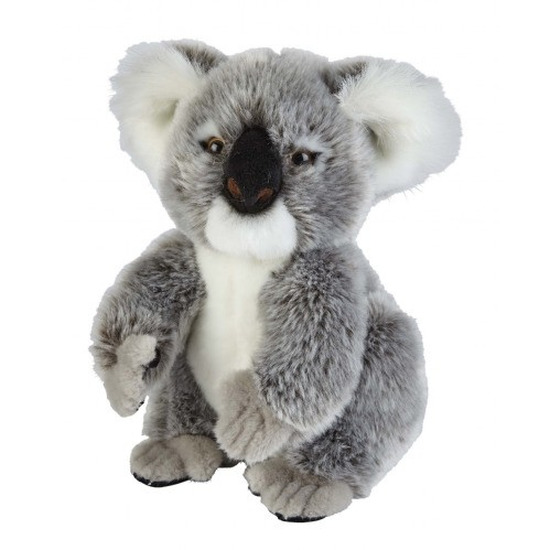 Knuffel koala grijs 28 cm knuffels kopen