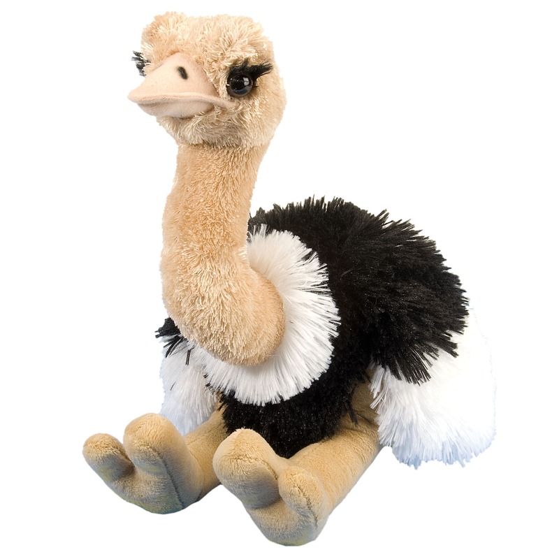 Knuffel struisvogel gekleurd 35 cm knuffels kopen