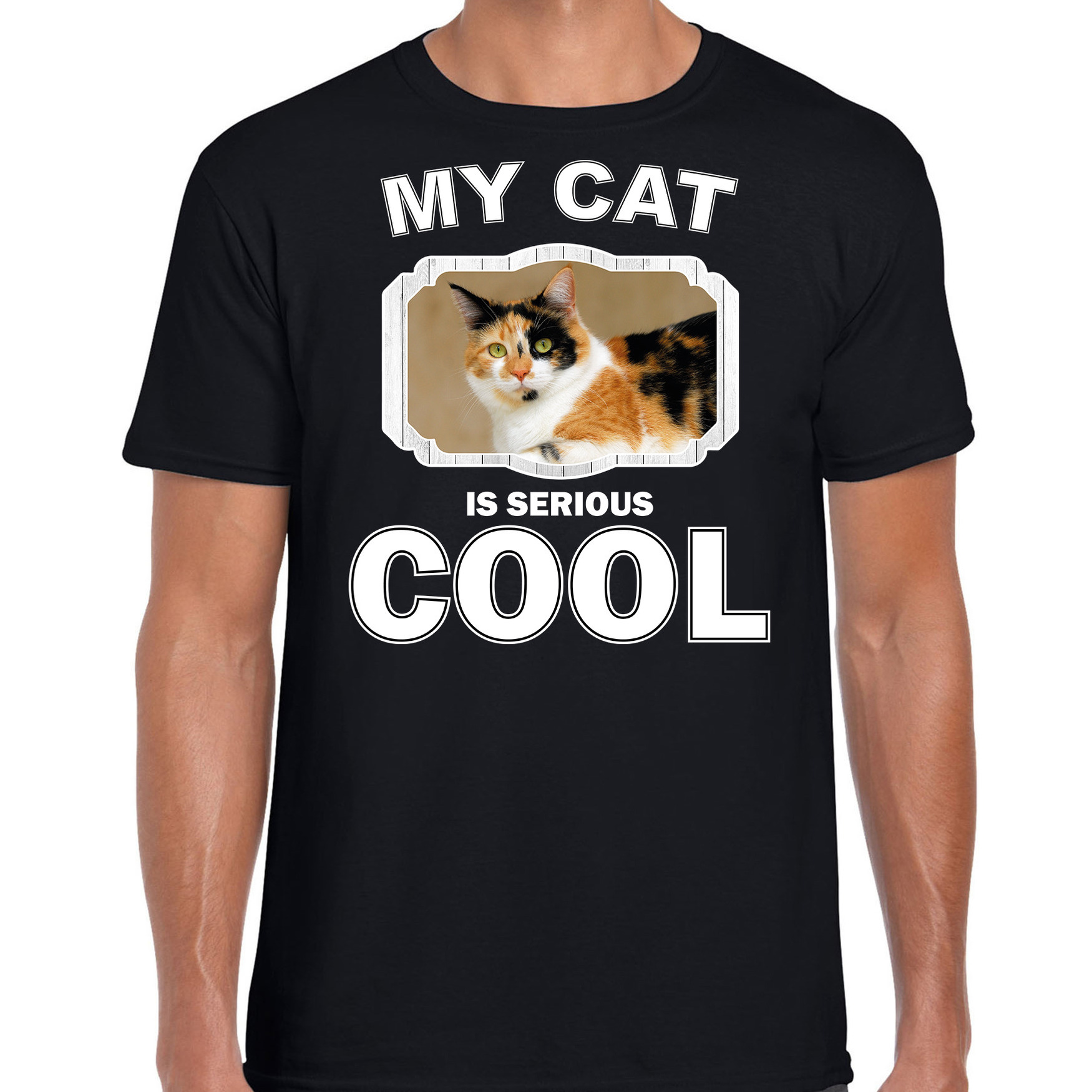 Lapjeskat katten / poezen t-shirt my cat is serious cool zwart voor heren
