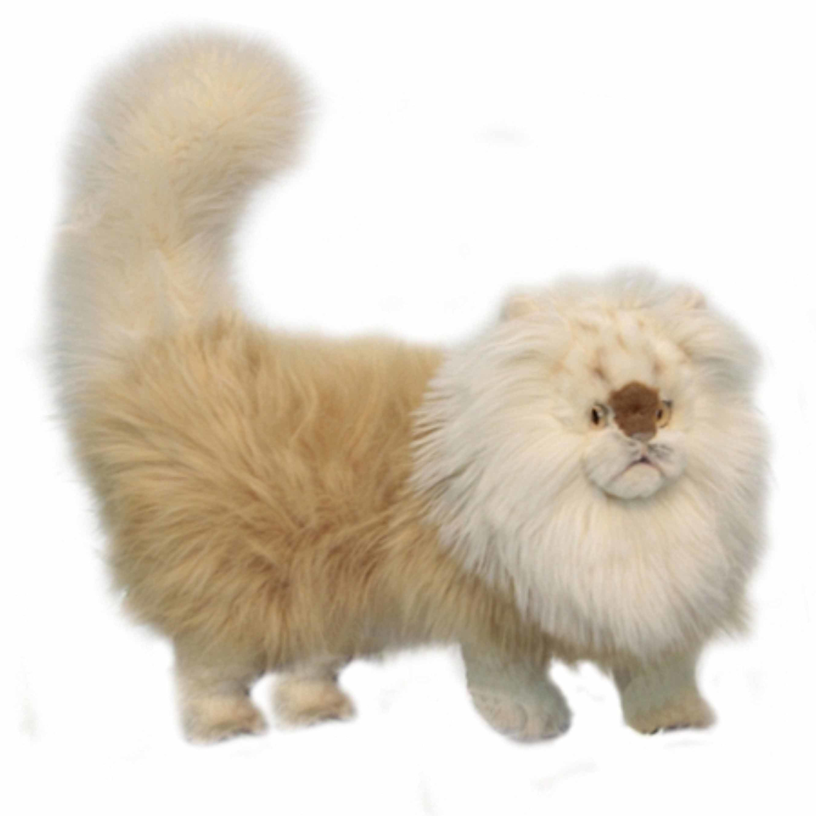 Luxe persische kat knuffel 45 cm