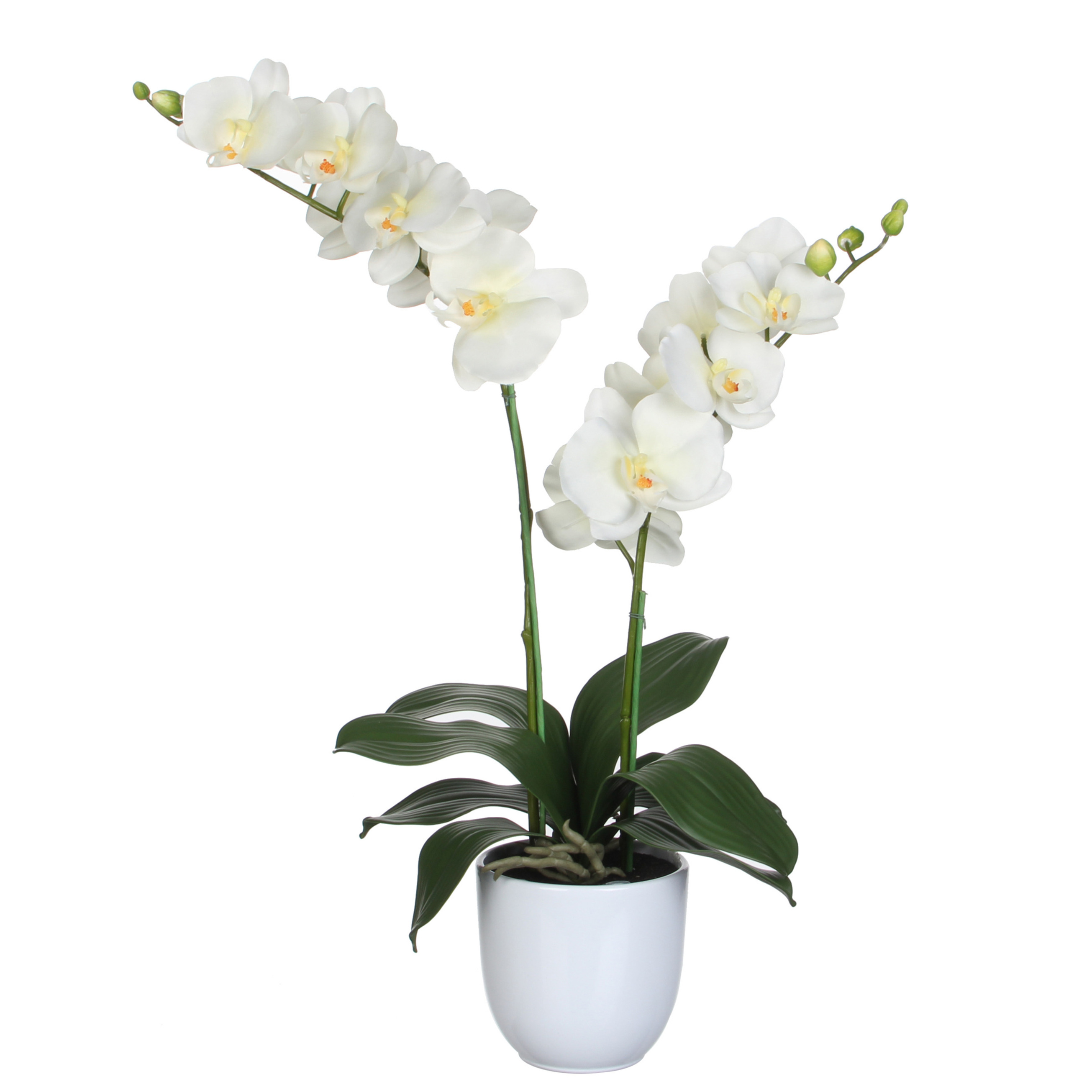 Mica Decorations Orchidee bloem kunstplant parel wit H66 x B38 cm