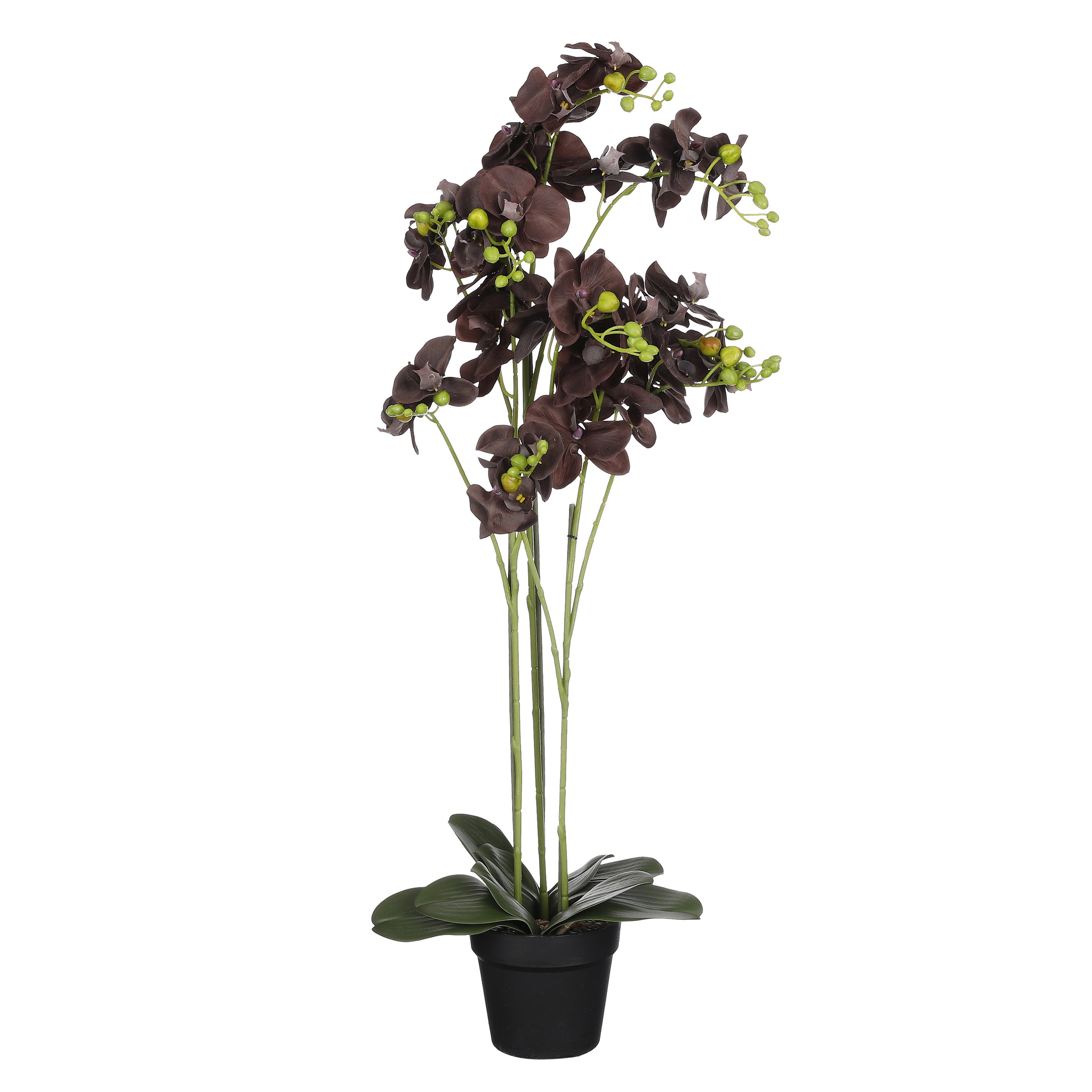 Mica Decorations Orchidee bloem kunstplant zwart H90 x B30 cm