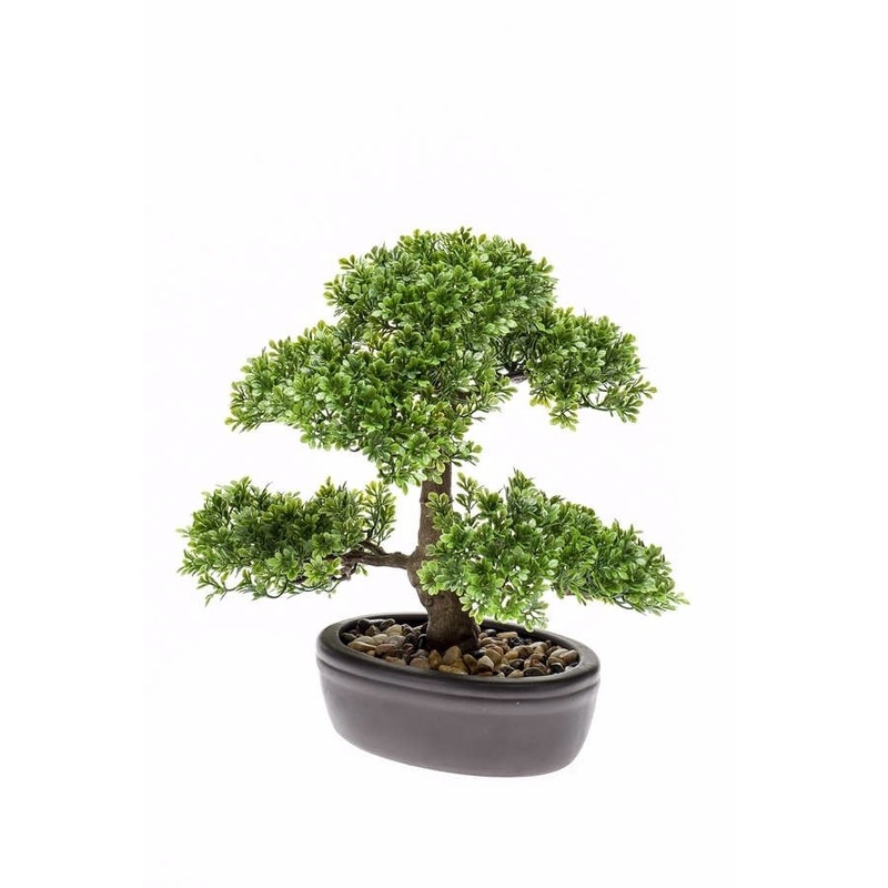 Nep Ficus Mini Bonsai boompje 32 cm