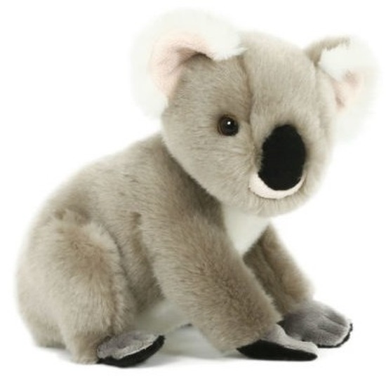 Pluche speelgoed koala dierenknuffel 20 cm
