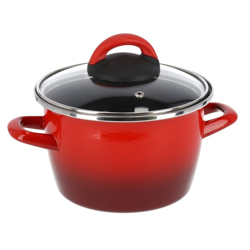 Rvs rode kookpan-pan met glazen deksel 16 cm 3 liter