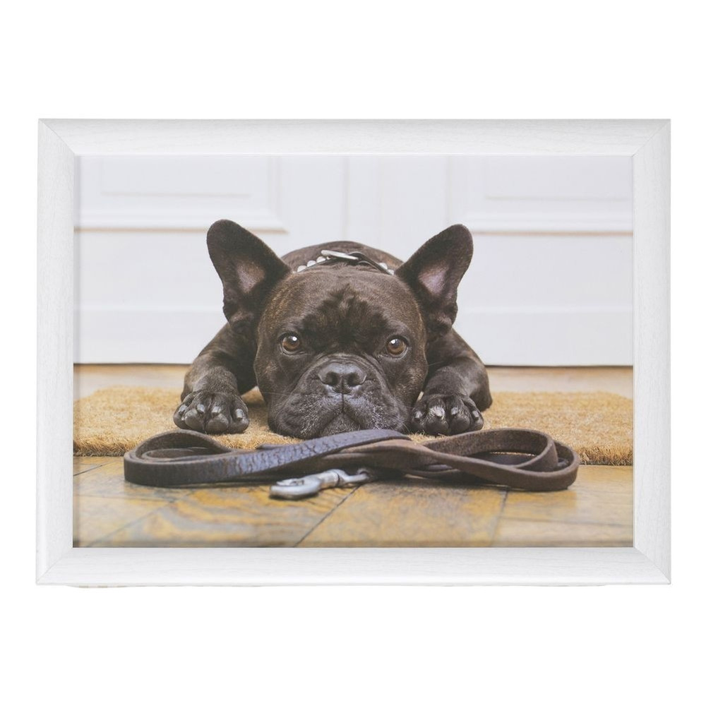 Schootkussen-laptray schattige Franse bulldog honden print 43 x 33 cm