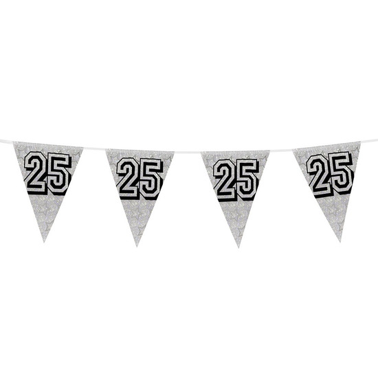 Zilveren verjaardag-jubileum vlaggenlijn 25 jaar 8 meter