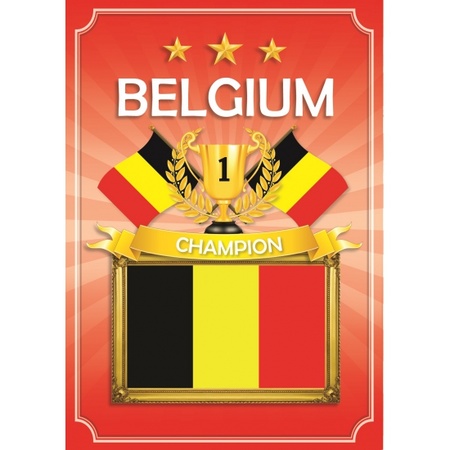 Belgisch decoratie pakket