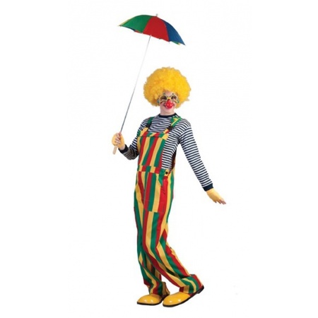 Carnaval clown tuinbroek